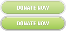donate button