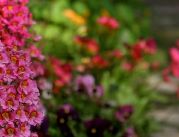 On The Inside | Anuradha Pandey 2