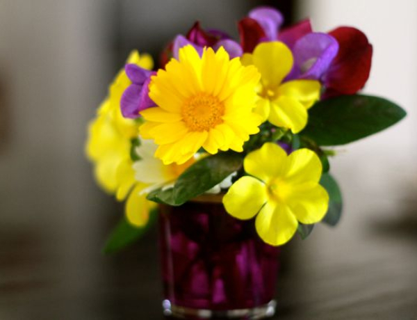 Flowers: A Public Service Announcement