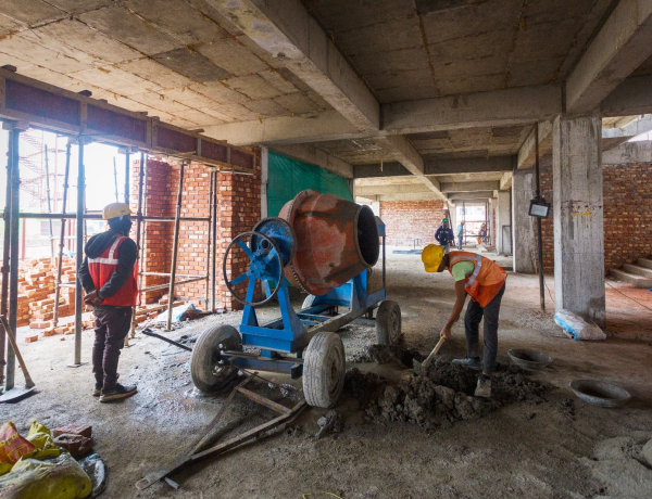 Getting to Know the Anterior Mid-Cingulate Cortex