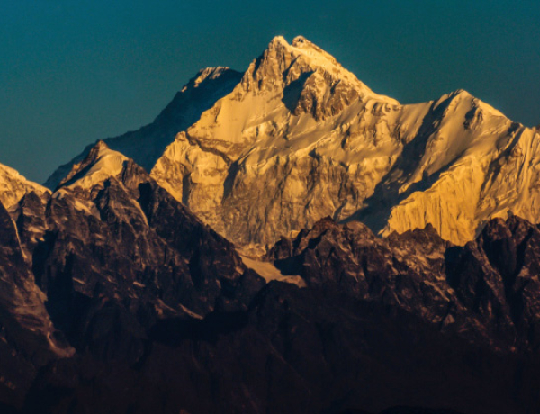 The Swaddle, September 20, 2016