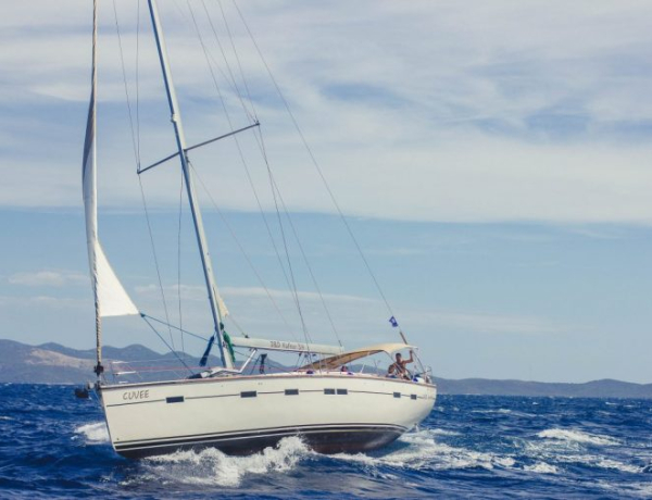 The Swaddle, November 8, 2016